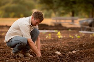 what are the benefits of composting